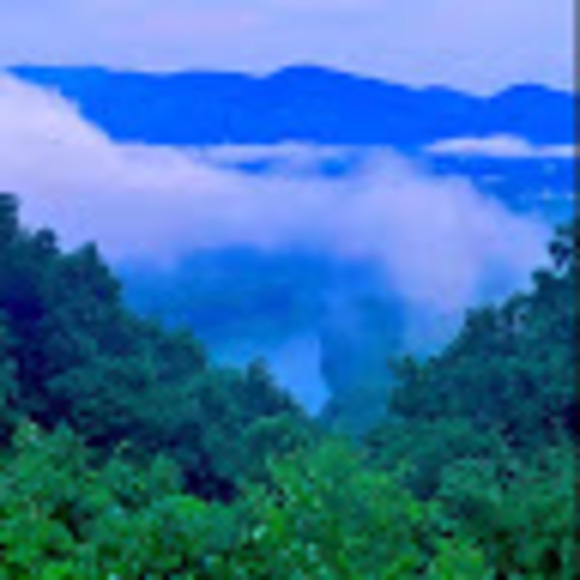 Meet your Posher, Daniel - Picture 1 of 1